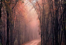 [图]英超-恩昆库、内托传射 切尔西4-0南安普顿.