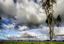 必赢：《王者荣耀世界》全新预告 超燃Boss战很刺激.