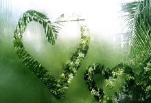 北青：国安将于1月5日在海口集结；塞蒂恩已与塞尔吉尼奥会面.