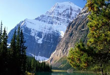 必赢：中国女足进奥运会悬了，但也不能“乱炖”了中新体坛.