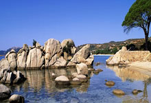 武汉车谷江大女足逆袭晋级女足亚冠四强，彰显斗志和团队精神.